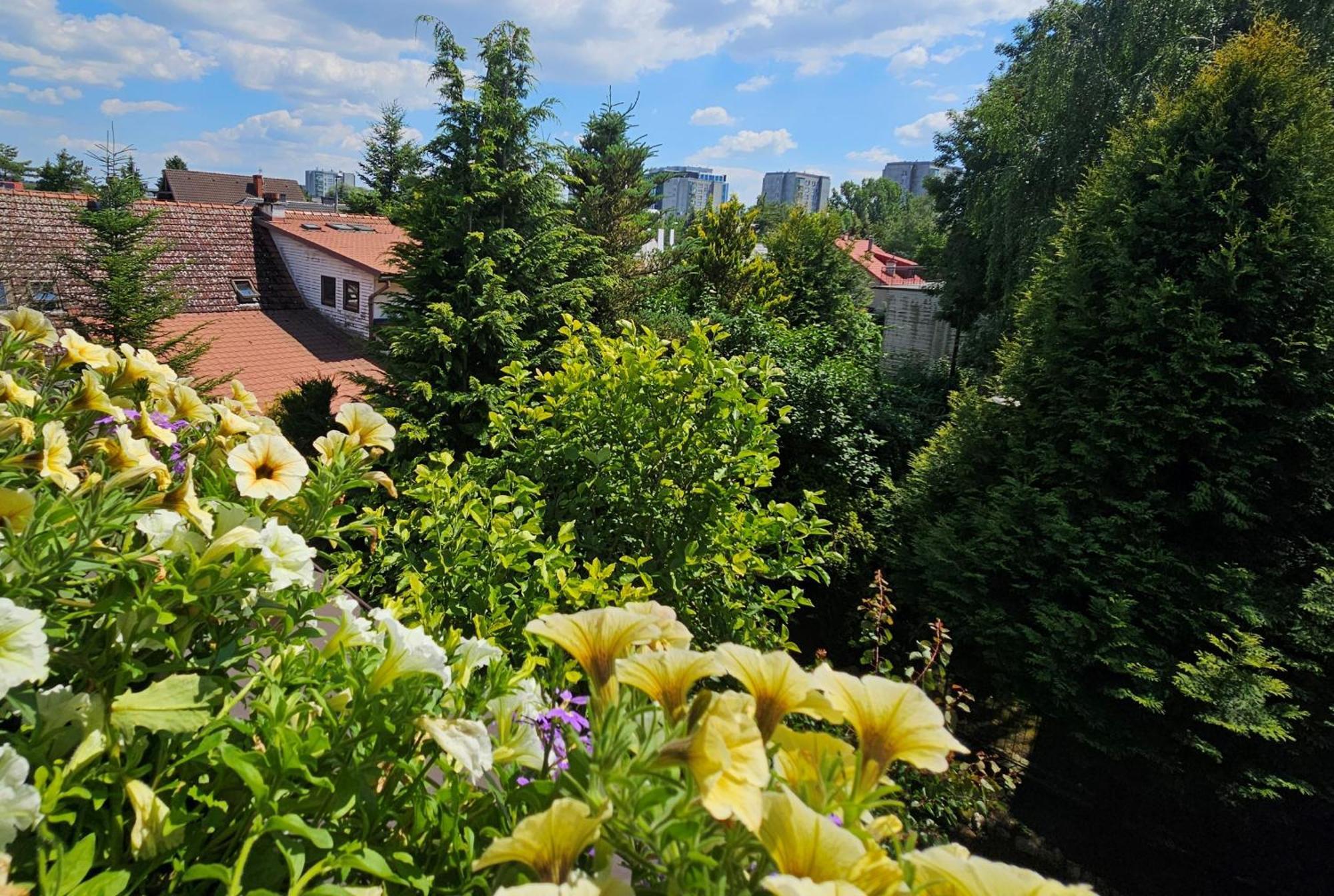 Park Apartment Krakau Buitenkant foto