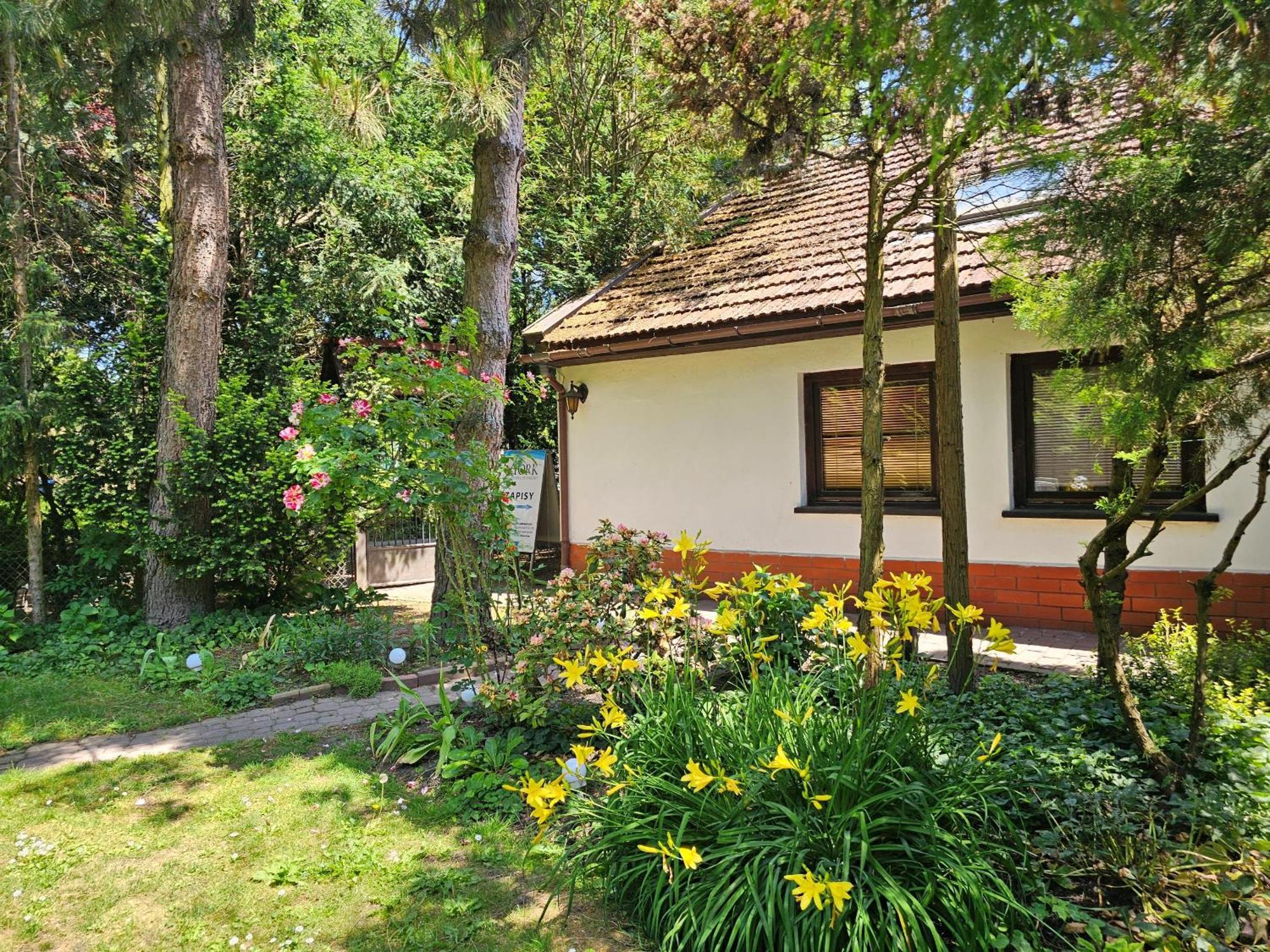 Park Apartment Krakau Buitenkant foto