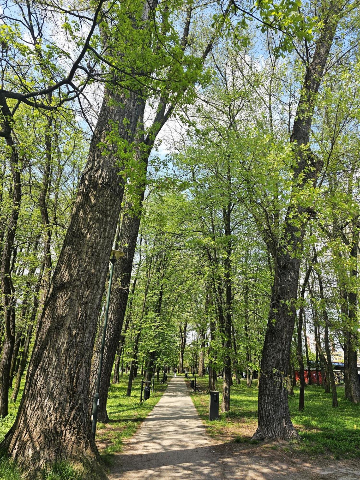Park Apartment Krakau Buitenkant foto